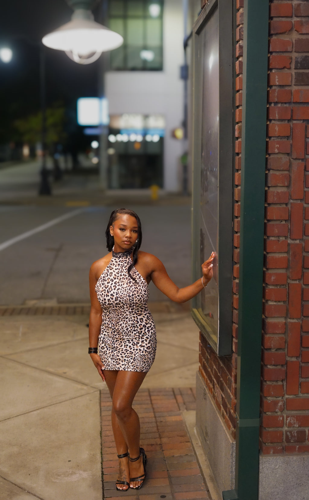 Wild Elegance Dress (PRE-ORDER)